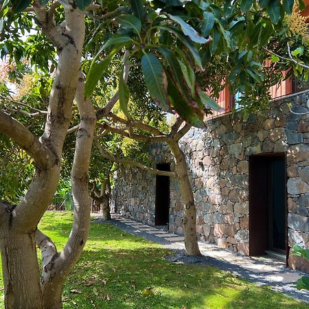 Design-Villa The Banana House Arco da Calheta  Dış mekan fotoğraf