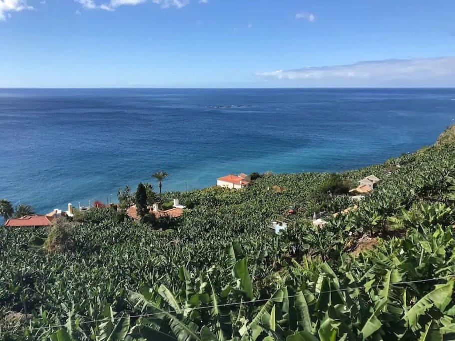 Design-Villa The Banana House Arco da Calheta  Dış mekan fotoğraf