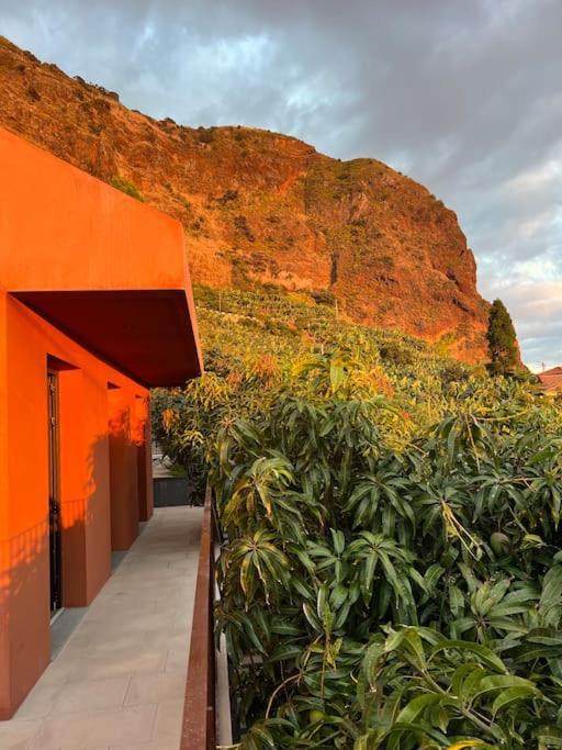 Design-Villa The Banana House Arco da Calheta  Dış mekan fotoğraf