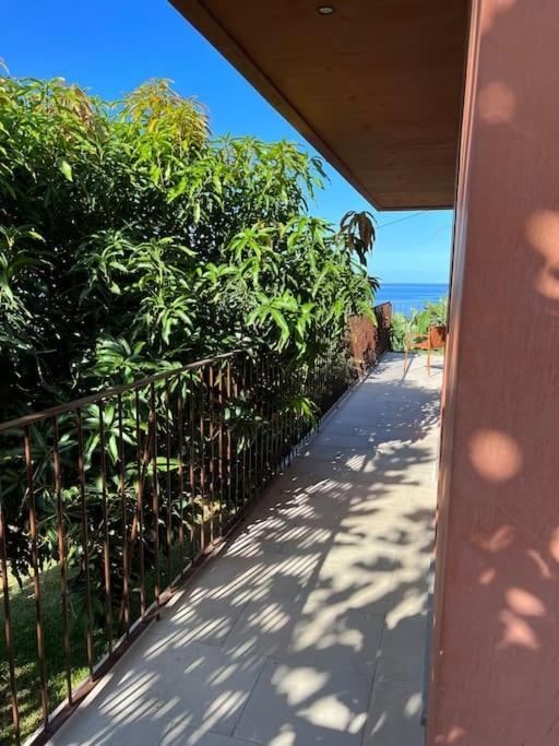 Design-Villa The Banana House Arco da Calheta  Dış mekan fotoğraf