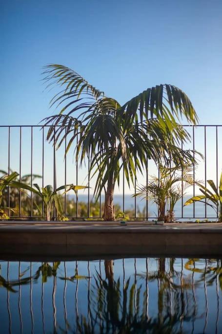 Design-Villa The Banana House Arco da Calheta  Dış mekan fotoğraf