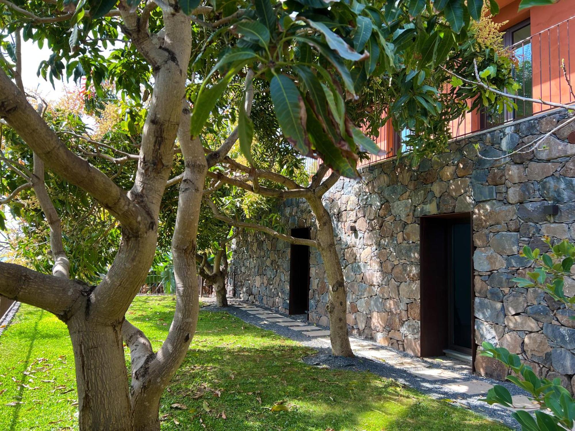 Design-Villa The Banana House Arco da Calheta  Dış mekan fotoğraf